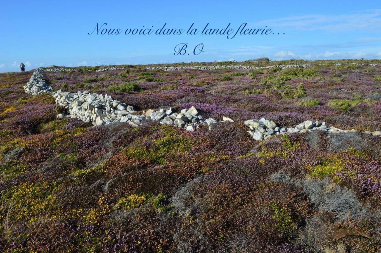 Le Clos Des Agapanthes Plogonnec Kültér fotó